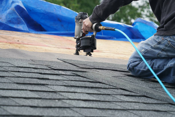 Best Flat Roofing  in Warrenvle, IL